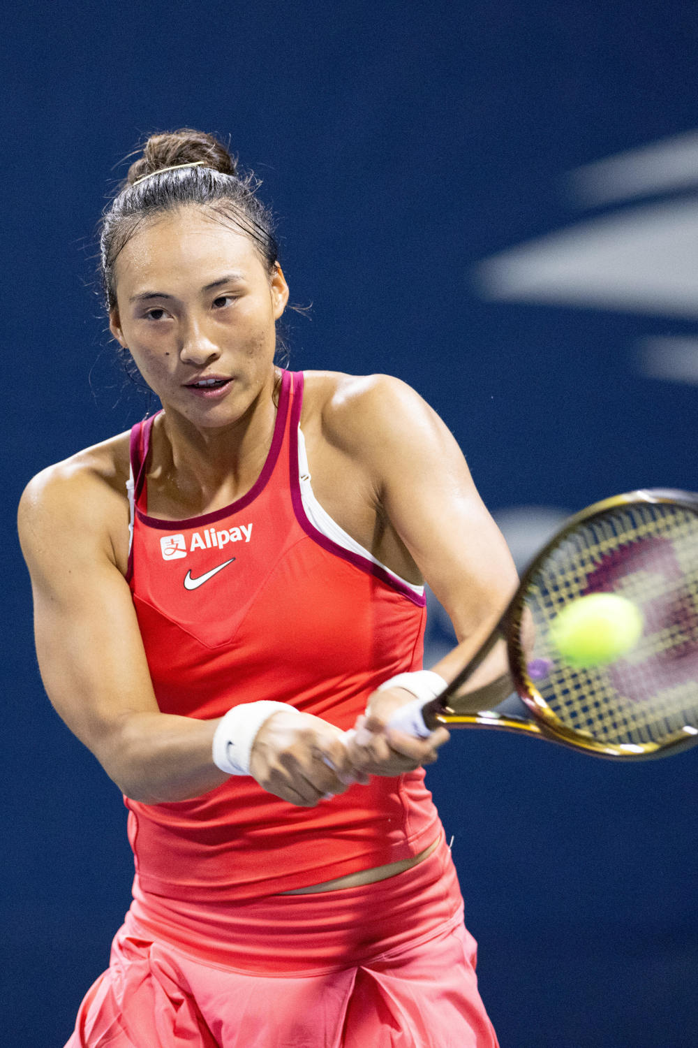 3岁的老将 3岁的老将