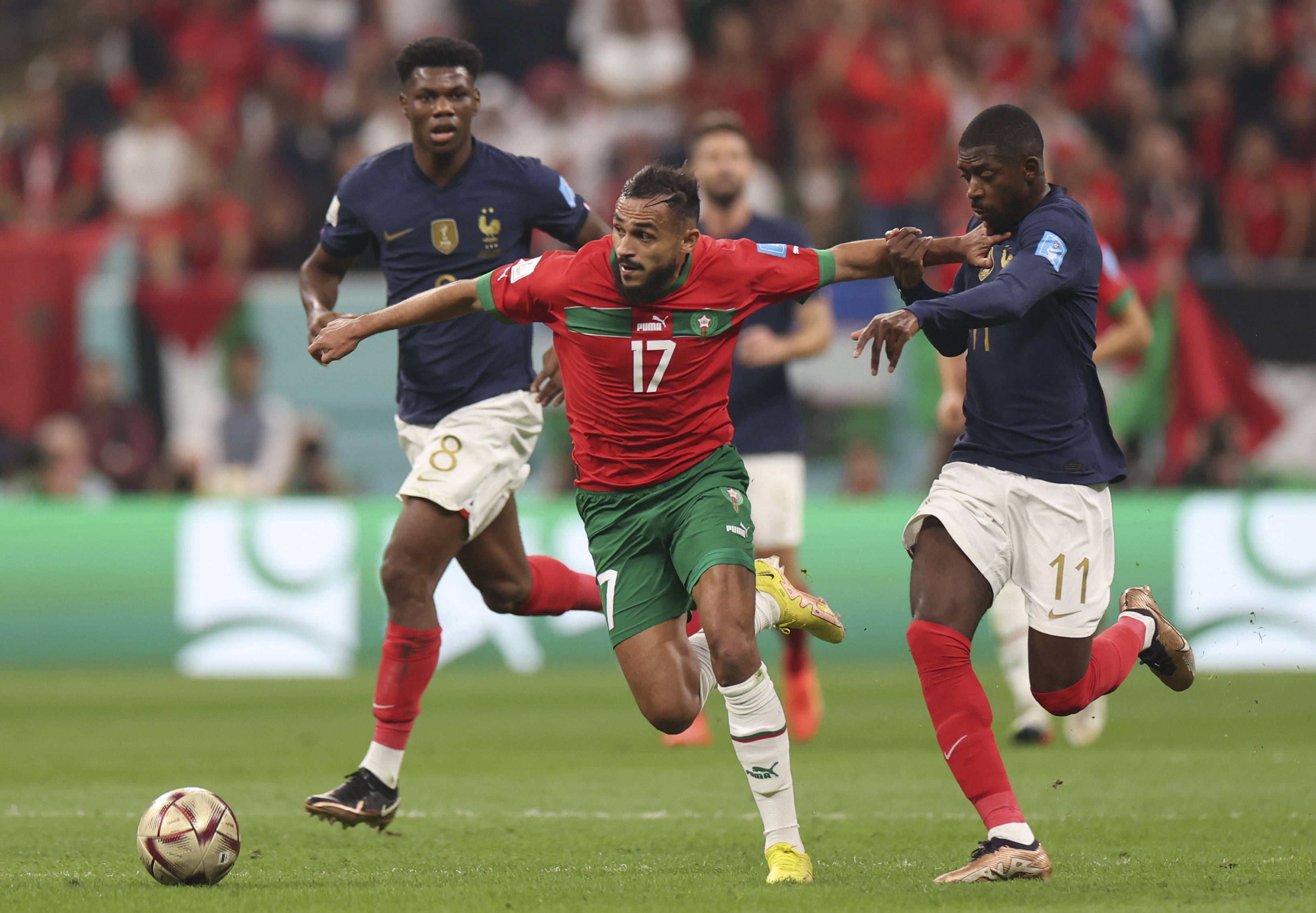 在竞技赛场 在竞技赛场